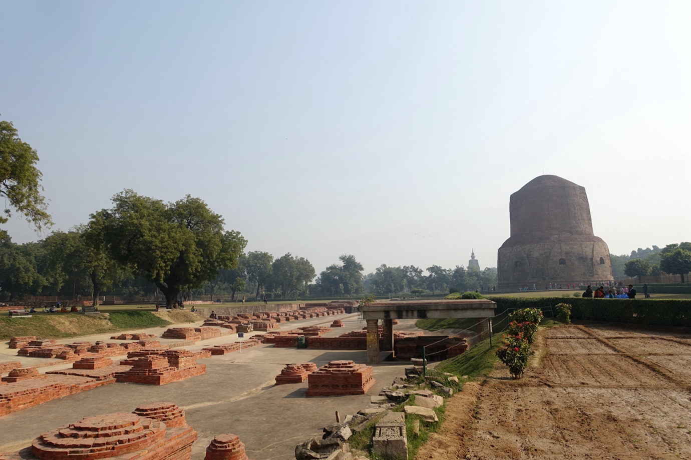 瓦拉納西-鹿野苑 Sarnath